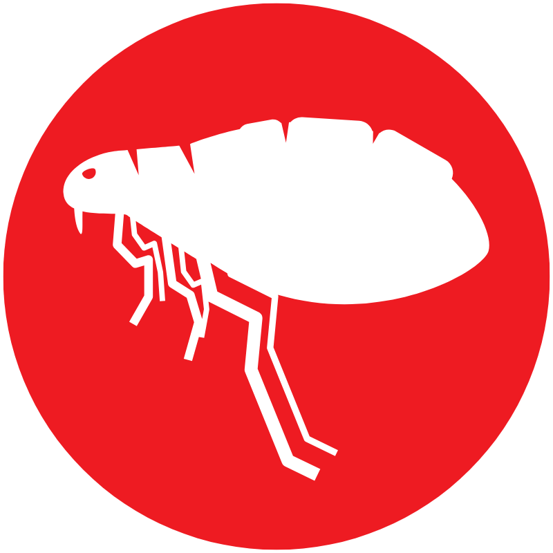 Flea-icon