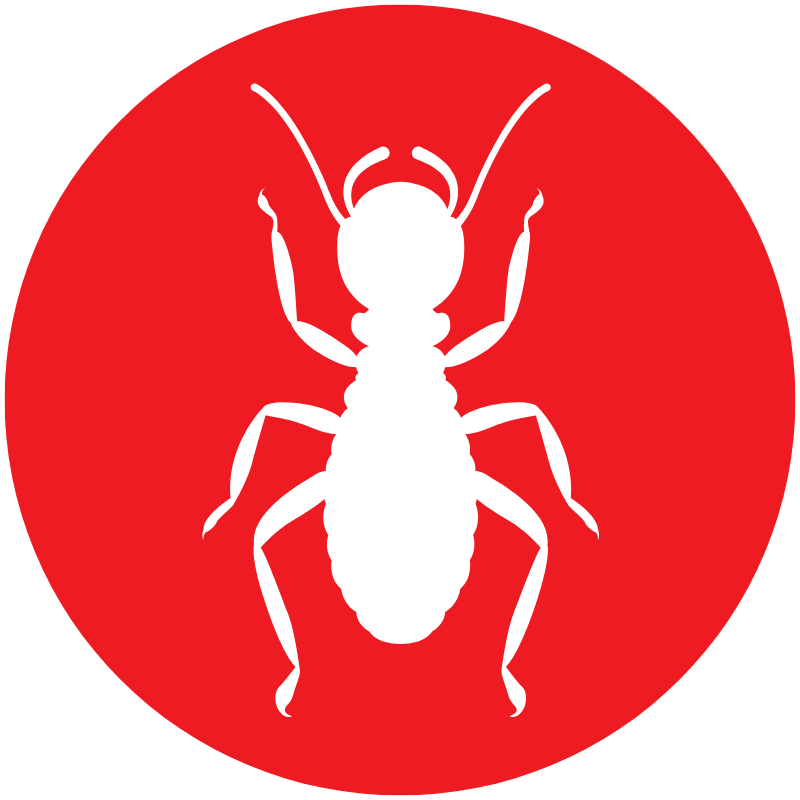 Termite-icon