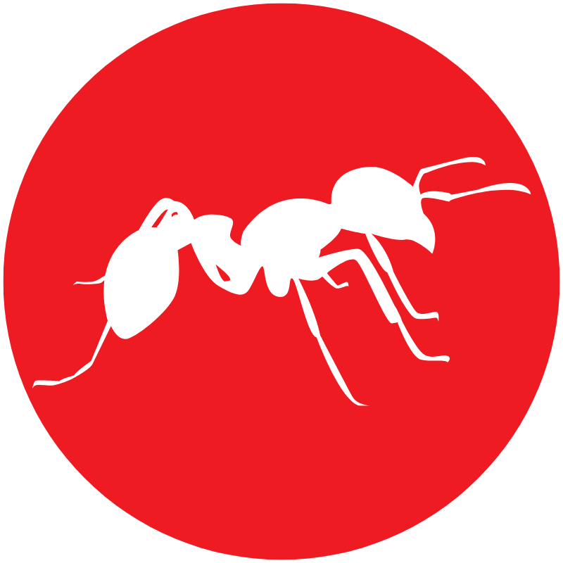 ant-icon