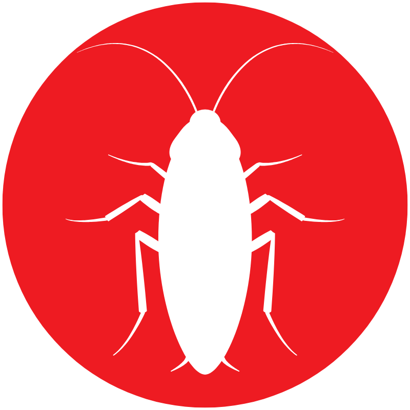 roach-icon