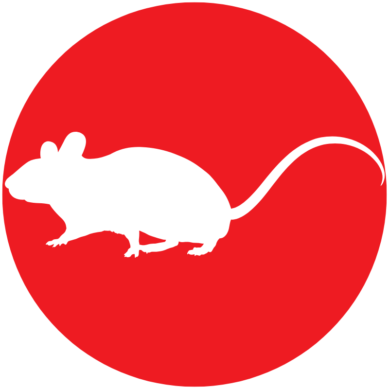 rodent-icon