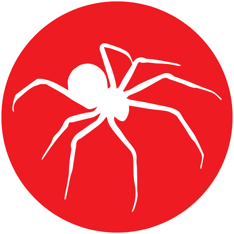 spider-icon